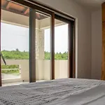 Zen Garden With Heated Pool