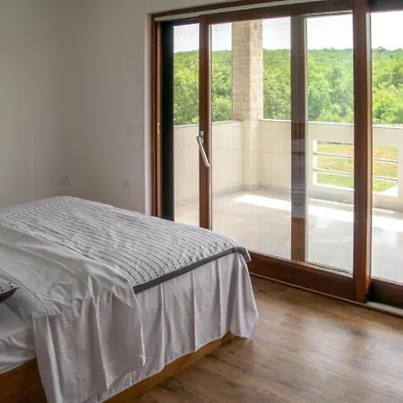 Zen Garden With Heated Pool Posedarje