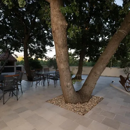 Zen Garden With Heated Pool Posedarje