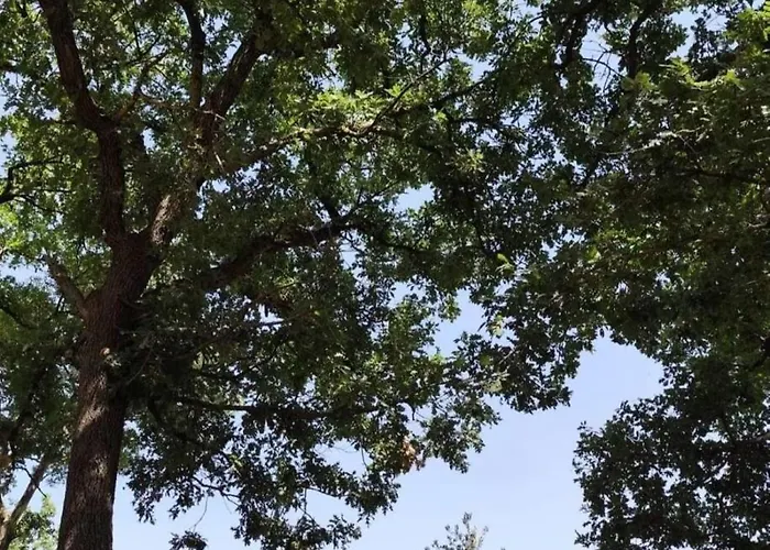 Zen Garden With Heated Pool Вилла *